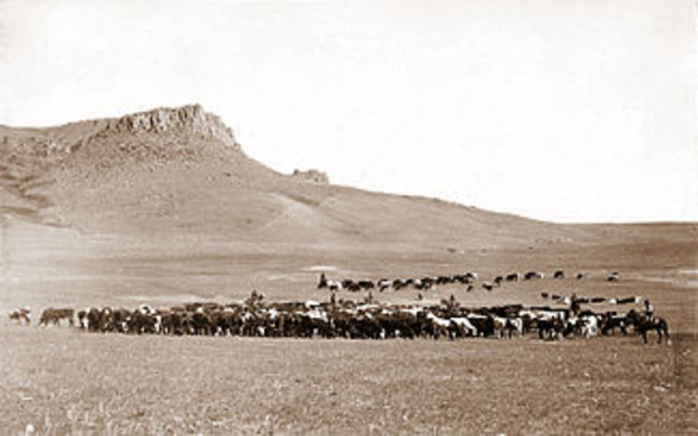 John Brown Cattle Drive