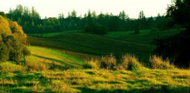 Crop Rotation and enclosed methods