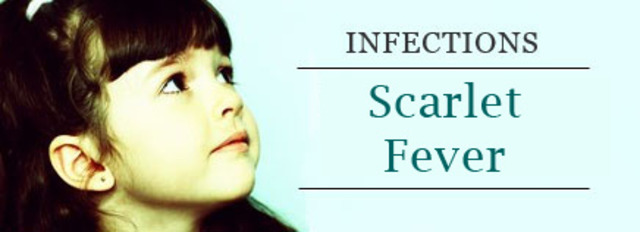 Vaccine for Scarlet fever