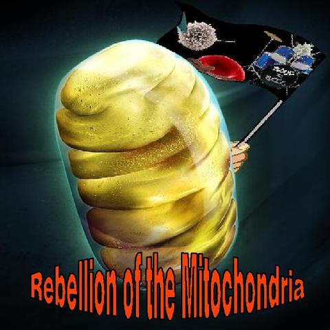 The Double Compilation is created