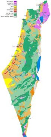 עלייתו לארץ ישראל