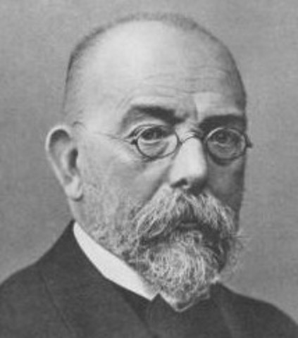 Robert Koch was born