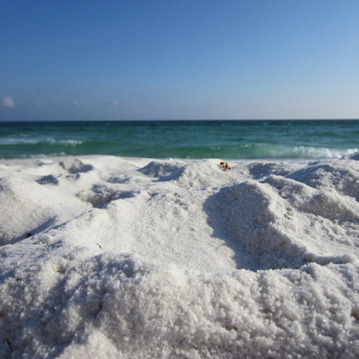 Timeline: La Vida De Jessica