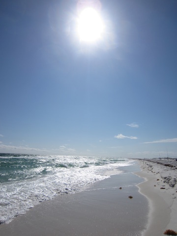 Hace un año que fui a Florida con mi amiga Bethany.