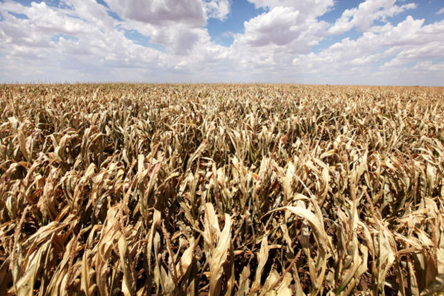 Drought in the Midwest.