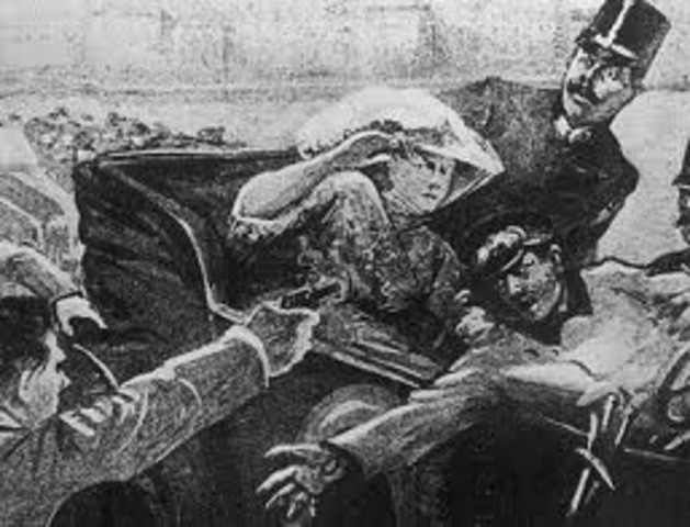 Assassination Of the Austrian Archduke (Most Important Factor)