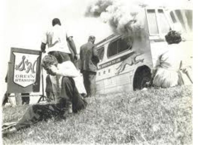 "the grey  hound attacked "