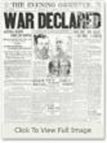 Austria-Hungary declared war on Serbia