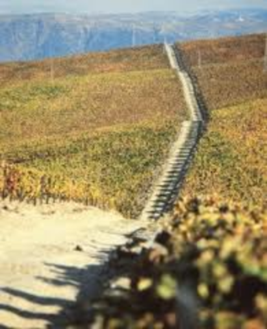 instituída a Companhia Geral da Agricultura das Vinhas do Alto Douro