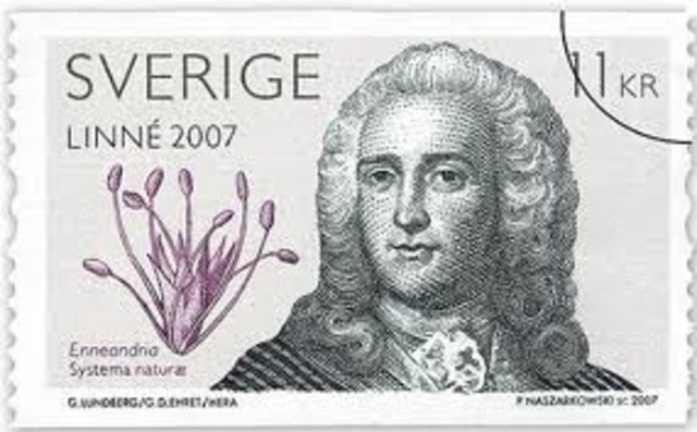 Creació de la taxonomia moderna