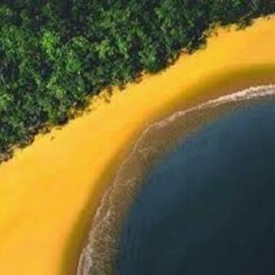 Timeline: História do Brasil