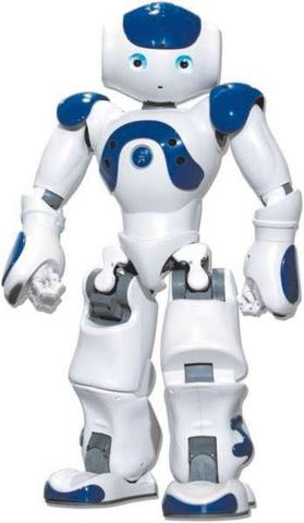 Nao robot programmable