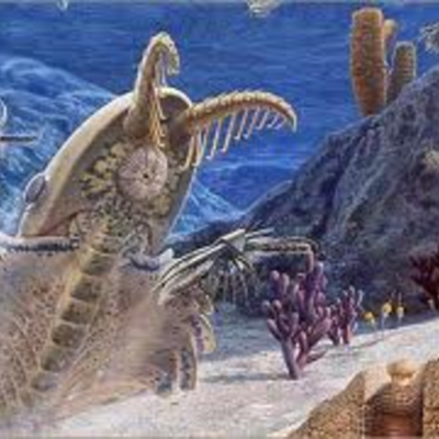 Timeline: Cambrian 570M-500M