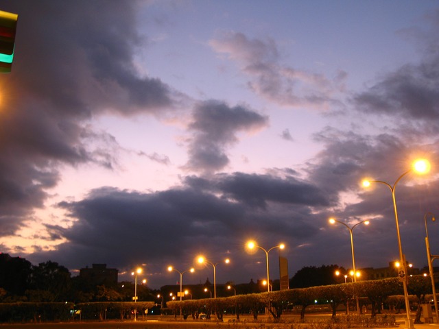 冷颼颼中，清晨的總統府升旗到底有多少人會駐足？