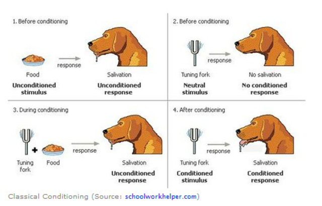 Pavlovs dog salvation experiment