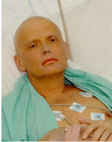 Alexander Litvinenko