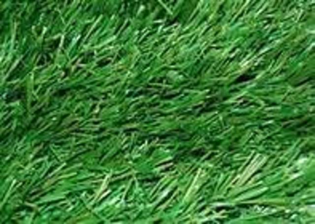 Grass/Turf