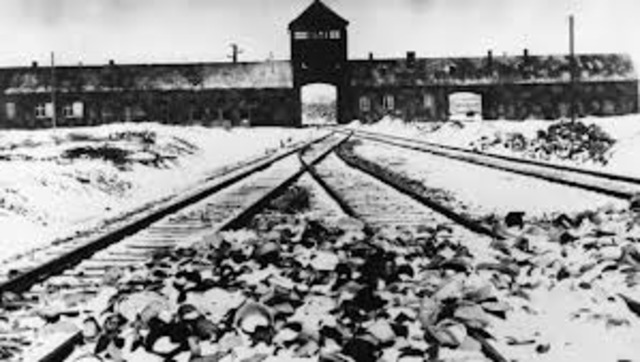 auschwitz