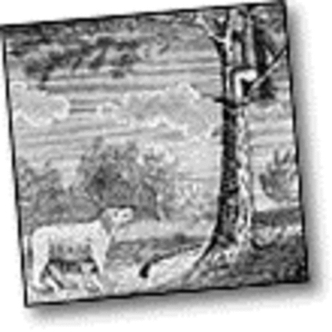 A spot where an animal profoundly affected the expedition