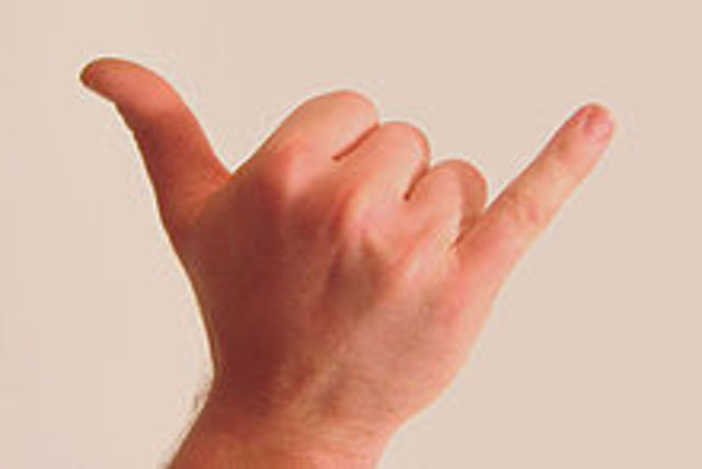 Shaka Sign