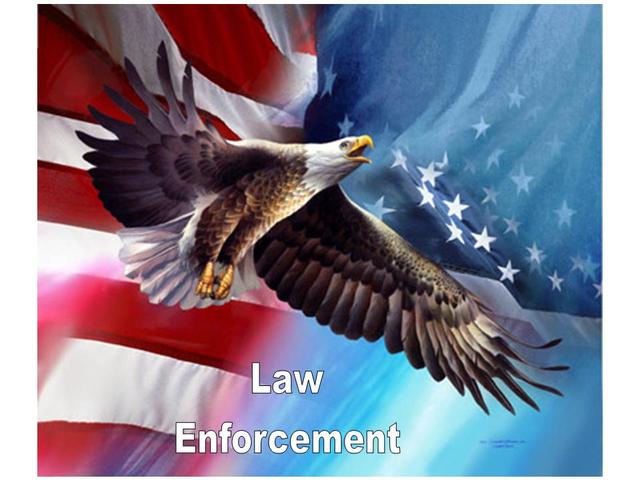 Violent Crime Control and Law Enforcement Act