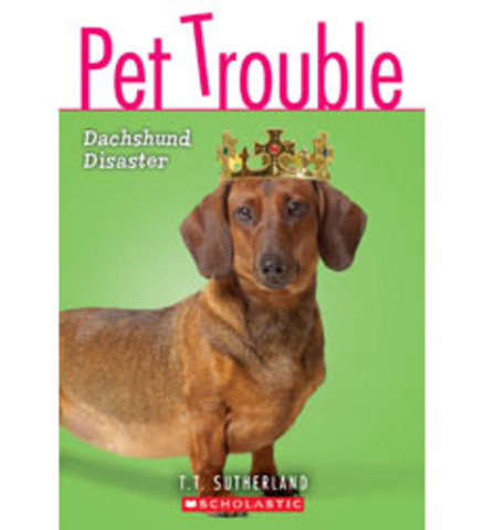 A dachshund disaster