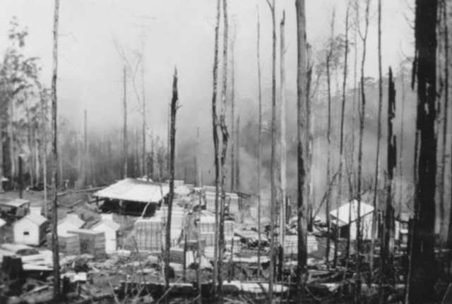 Black Friday and World War II