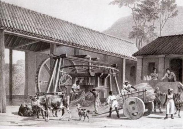 Início da Colonização