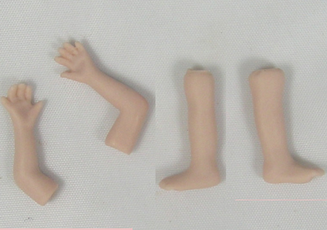 Arms and legs begin to grow (week 6)