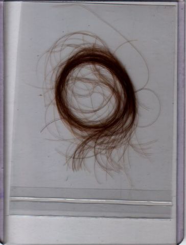 Lock of Hair