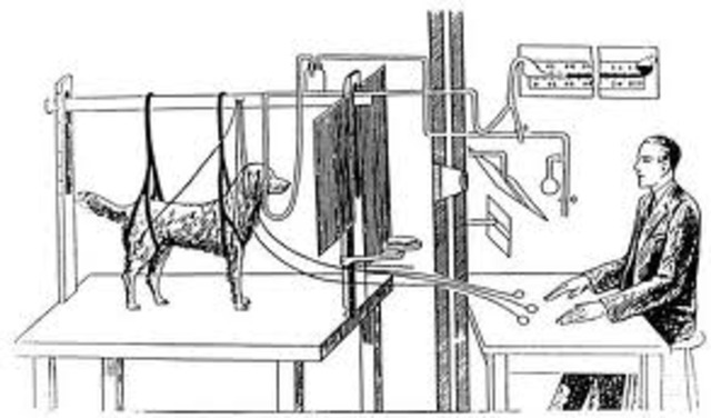 Ivan Pavlov Dog Experiment