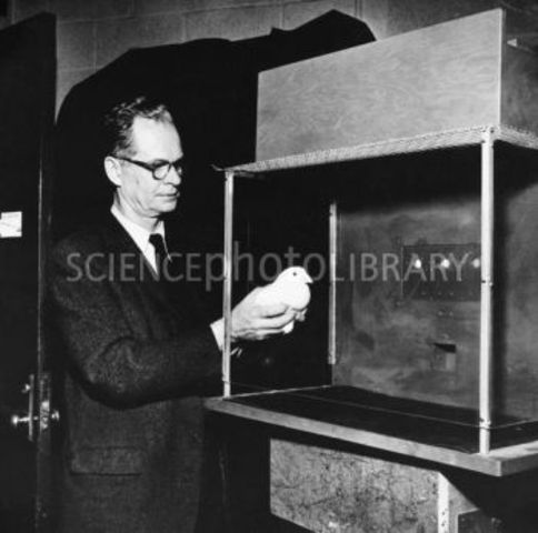 Skinner Box