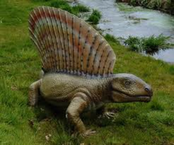 Carboniferous 345M-280M