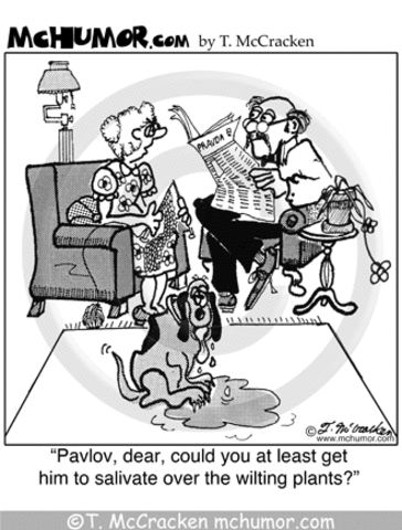 Pavlov's Dog's