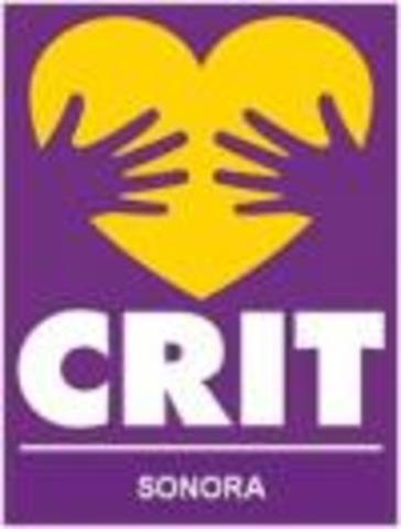 Cursos de Tecnología en CRIT