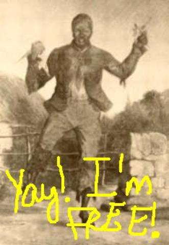 Johnson vetoes Freedmen's Bureau Bill