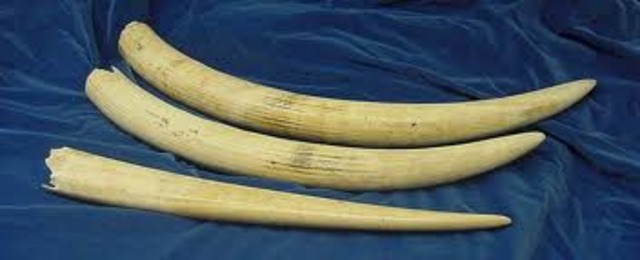 No farming, now trading