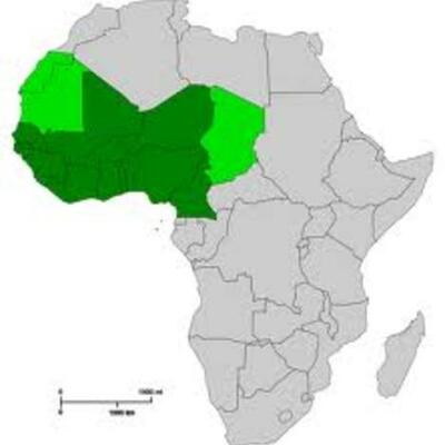 Timeline: Vineet West African Empires Pr7