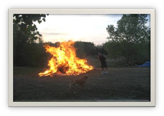 Bonfires