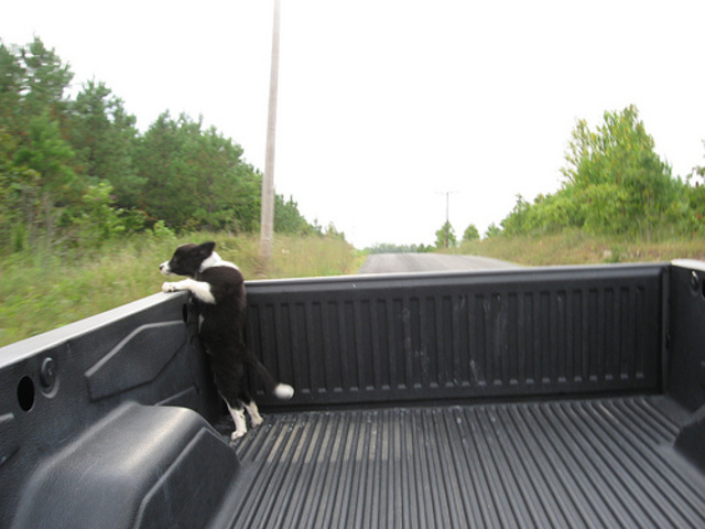 Bob and Ellen sell Jack and his siblings