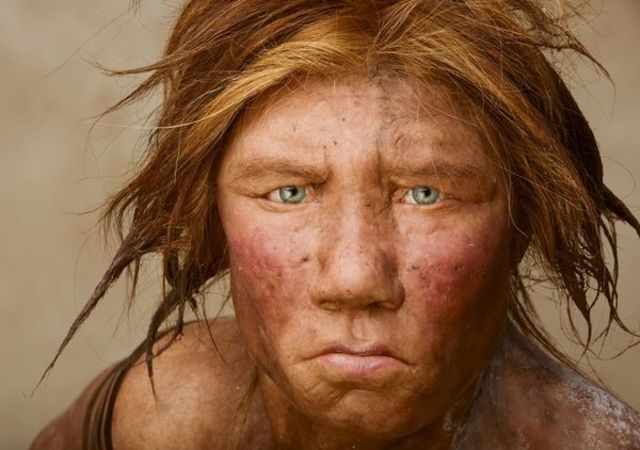 Neanderthals developed tools