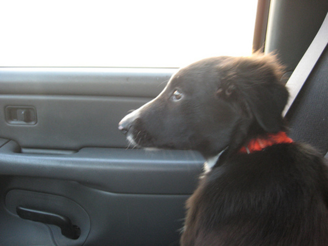 When Jack was picked!