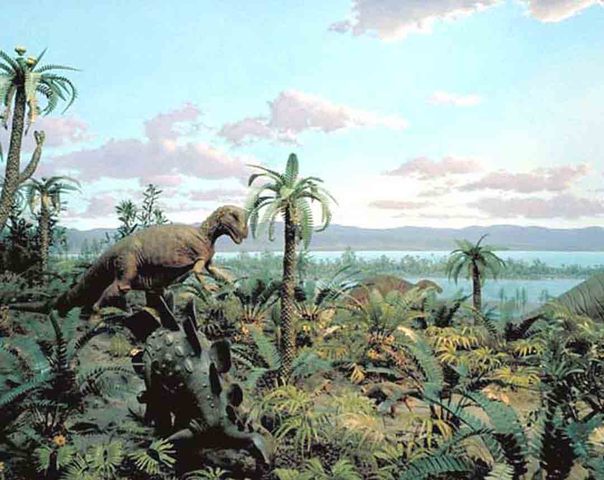 Jurassic period 199 - 145 MYA
