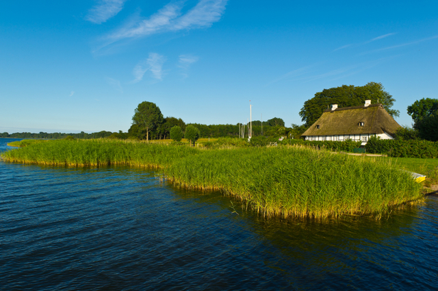 Kornsalgsperioden slutter