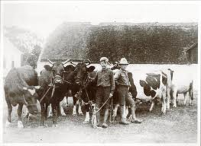 Bønderne fik indflydelse i politik