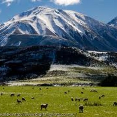 Timeline: New Zealand