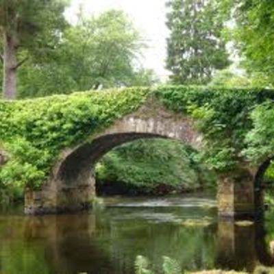 Timeline: Great events in Ireland's History