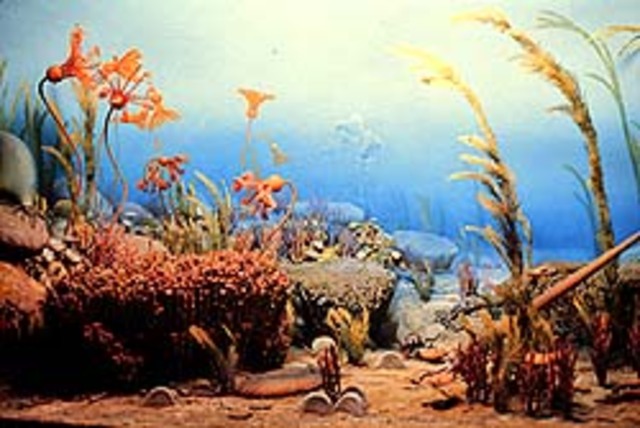 Silurian Period. - 435 to 335 MYA.