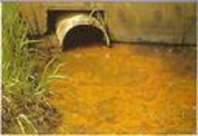 they kid find out that this factor is dumping chemicals in the forest