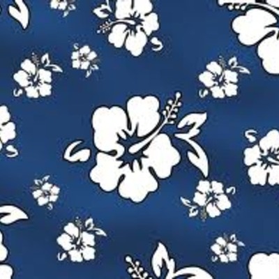 Timeline: Education from 1957-1965